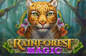 New Rainforest Magic
